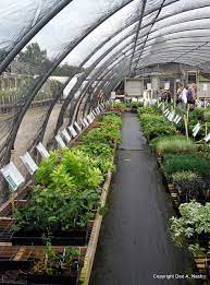 Garden Nursery Plant Nursery