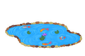 Fish Pond Background Png Transpa