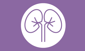 Urine Leak Post Kidney Transplantation