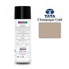 Tata Automotive Spray Paint