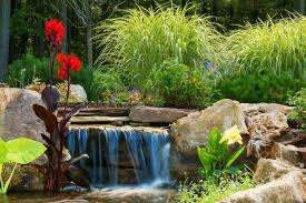 Pondless Waterfalls For In Central