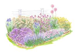 Garden Plans Filled With Plants