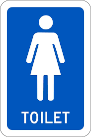 Toilet Female Icon Nz Safety Blackwoods