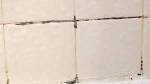 Black Mold In The Shower How To Clean