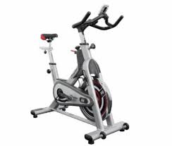 Spin Impulse Ps300 Indoor Cycle By
