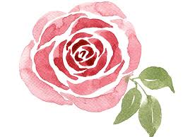 Paint A Watercolour Rose