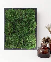Live Mood Moss Wall Art In Black Now