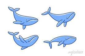 Cartoon Whale Sketch Line Icon Kawaii