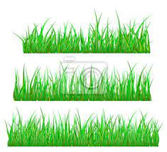 Green Grass Isolated Vector Symbol Icon