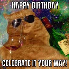 Funny Birthdya Meme Cat Wine Birthday