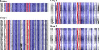 Bmc Genomics