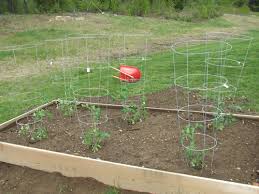 Planting Raised Bed Vegetable Gardens