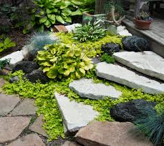 Our 12 Favorite Walkable Ground Covers