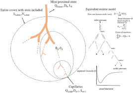 Frontiers Scaling Laws Of Flow Rate