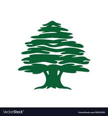 Abstract Cedar Tree Lebanese Cedar