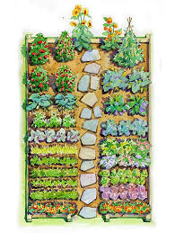 Garden Veggie Garden Layout