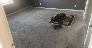 Removing Mold From Carpeting Mold