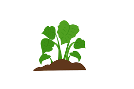 Plant Green Leaf Icon Graphic By