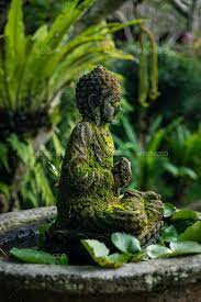 Buddhism Statue Covered In Moss