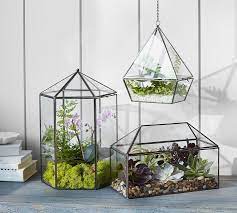 Pottery Barn Glass Terrarium