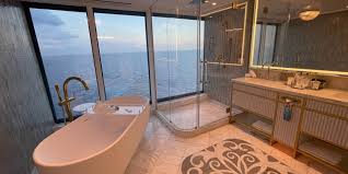 Cruise Ship Bathrooms Everything You