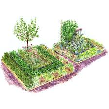 Backyard Vegetable Garden Planning