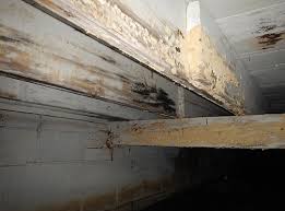 Moldy Wood Foundation Systems Of Michigan