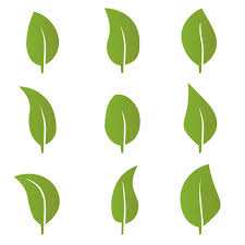 Eco Green Color Leaf Vector Logo Flat