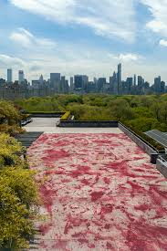 The Frightening Scene On The Met S Roof