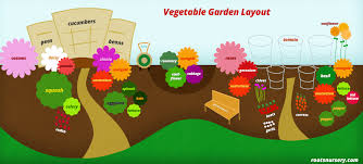 Vegetable Garden Layout Free Infographic