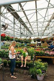 Local Plant Nursery Asheville Nc And
