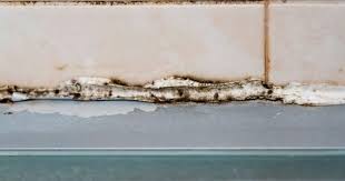 Get Rid Of Mould On Silicone Sealant In