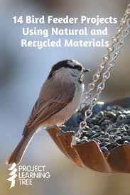 14 Bird Feeder Projects Using Natural