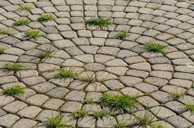 Does Sealing Pavers Prevent Weeds
