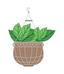 Vector Houseplant In Pot Hanging Icon