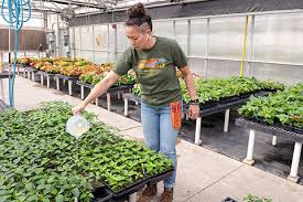 Horticulture Tcc