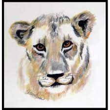 Colored Pencil The Lion Cub Creating