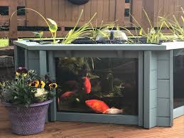 Lily Clear View Garden Aquarium Raised