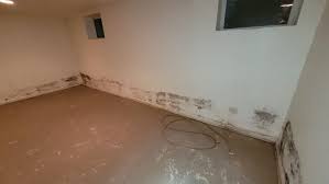 How Basement Waterproofing Will Save
