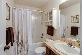 Glass Shower Doors Or Shower Curtains