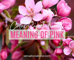 Meaning Of Pink Color Psychology And