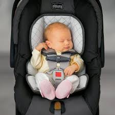 Chicco Universal Infant Insert