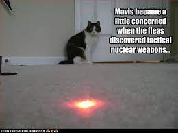 35 most funny laser photos that will