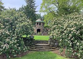Blog Enchanted Gardens