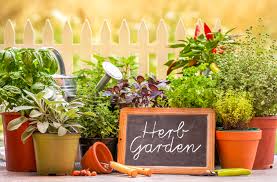 Creative Ideas For Urban Gardens
