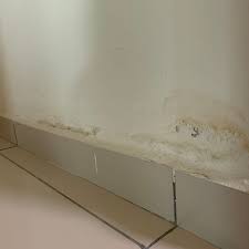 Suffering From Damp Walls Discover The