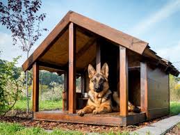 Diy Dog Kennel Building Tips Dogslife
