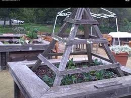 Raised Bed Garden For Seniors