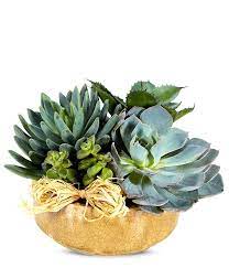 Succulent Dish Garden At From You Flowers