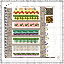 Vegetable Gardening For Beginners The